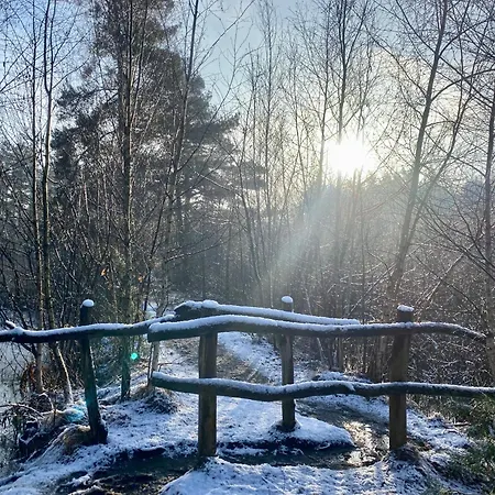 度假居 Boshuis Vrijstaand Op Oud Landgoed 奥斯特韦克