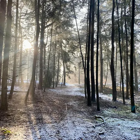 Сasa de vacaciones Boshuis Vrijstaand Op Oud Landgoed Oisterwijk